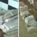Polícia de RO apreende mais de 200 kg de maconha que seria vendida no Acre‏