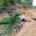 Corpo de vítima de acidente de trânsito fica mais de cinco horas na estrada para ser resgatado