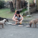 Patinha Carente realiza arrecadação de ração para animais