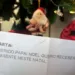 Cartinhas ao Papai Noel dos Correios podem ser adotadas até sexta-feira
