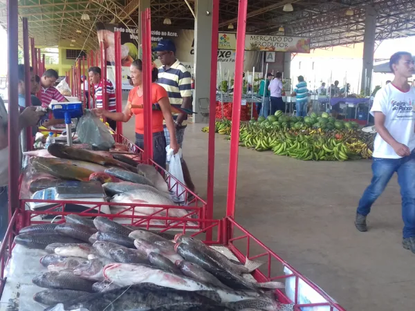 Em dois dias são comercializadas mais de seis toneladas de pescado no Ceasa