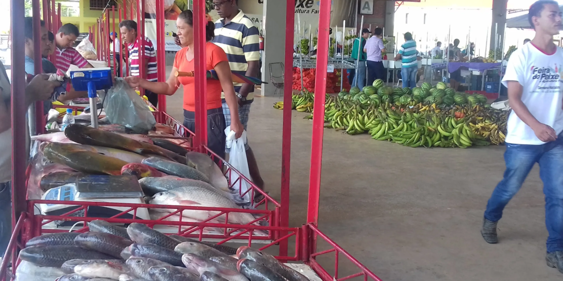 Em dois dias são comercializadas mais de seis toneladas de pescado no Ceasa