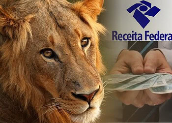 No Acre, 57 empresas estão na Malha Fina PJ