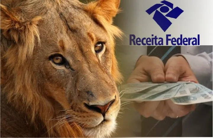 MEI: Saiba se você deve fazer a Declaração do IRPF 2021