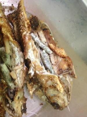 Maconha foi encontrada dentro de peixe frito