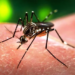 Vacina contra dengue deve ser vendida em 3 meses