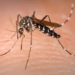 No Acre, sobe para 43 o número de casos suspeitos de zika vírus