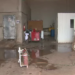 Bando invade fábrica de gelo e rouba cofre com cerca de R$ 15 mil
