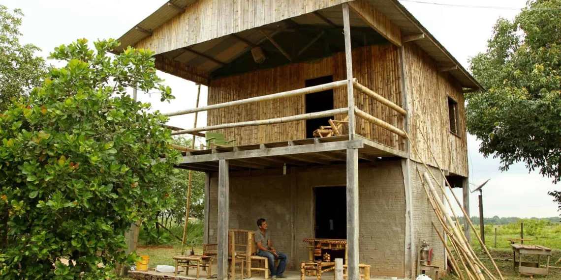 Acre possui maior floresta nativa de bambu do mundo