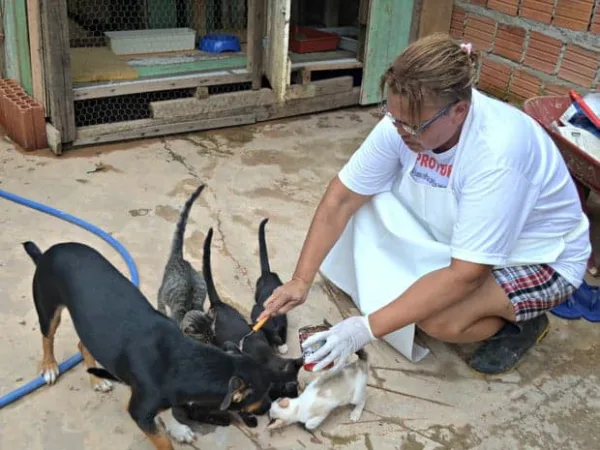 “Eu queria que salvassem essas vidas. Caso contrário, todos esses animais vão morrer”, lamentou Maura Akino