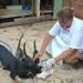 “Eu queria que salvassem essas vidas. Caso contrário, todos esses animais vão morrer”, lamentou Maura Akino