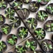Feira de Holambra dispõe de grande diversidade de plantas e comidas típicas