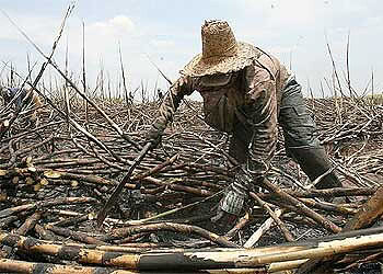 Rio Branco terá ato pelo Dia Nacional de Combate ao Trabalho Escravo