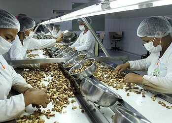 Cooperacre realiza 1º Encontro de Fortalecimento da Produção Agroextrativista