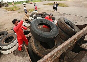 Sem chances para o Aedes