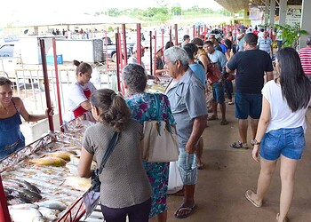 Na abertura da Feira do Peixe é inaugurado o mercado especializado em pescado 3 Na abertura da Feira do Peixe é inaugurado o mercado especializado em pescado