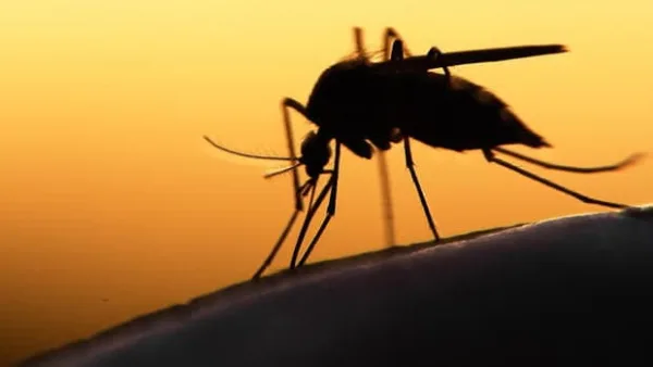 Para evitar novos casos das doenças causadas pelo Aedes, Sesacre reforça capacitações no Alto Acre