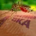Com aumento de 876,2% no número de casos, Acre lidera incidência de Zika Vírus no Brasil