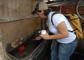 Notificações de casos de dengue caem mais de 27% entre 2015 e 2016