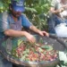 Concurso de Qualidade de Café vai premiar produtores do Acre