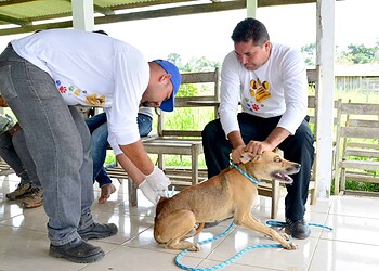 Saúde de Rio Branco realiza campanha de vacinação antirrábica na zona rural