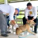 Saúde de Rio Branco realiza campanha de vacinação antirrábica na zona rural
