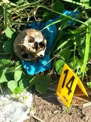 Crânio humano é encontrado em acostamento próximo ao shopping