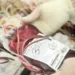 Hemoacre fará captação de sangue durante uma semana no Centro