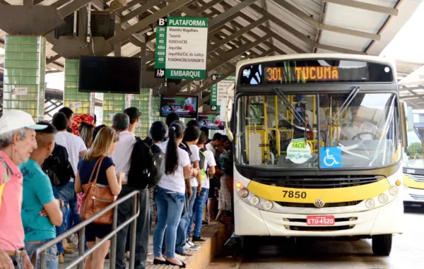 Plataformas do Terminal Urbano tem linhas reordenadas