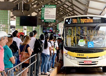 Plataformas do Terminal Urbano tem linhas reordenadas