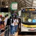 Plataformas do Terminal Urbano tem linhas reordenadas