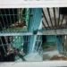 Agentes penitenciários frustram tentativa de fuga no Quinari