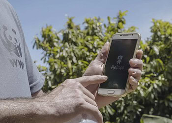 WWF-Brasil é finalista do Desafio de Impacto Social Google