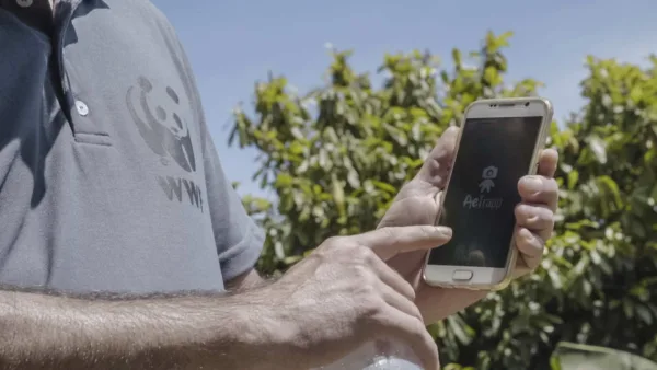 WWF-Brasil é finalista do Desafio de Impacto Social Google