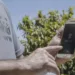 WWF-Brasil é finalista do Desafio de Impacto Social Google