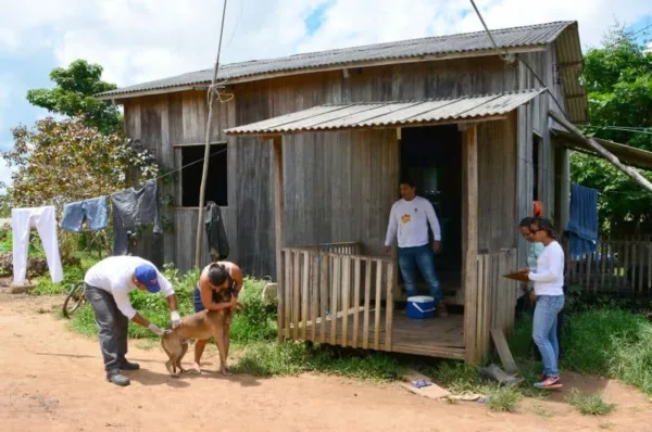 Campanha de Vacinação Antirrábica começa neste sábado em Rio Branco