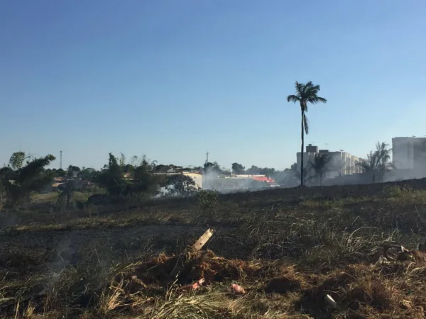 Incêndio consome cerca de 2 hectares do Parque do bairro Nova Estação