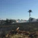 Incêndio consome cerca de 2 hectares do Parque do bairro Nova Estação