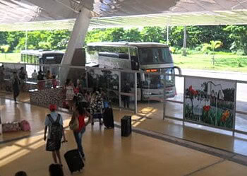 Renovação da gratuidade de carteiras de ônibus vai até o dia 30