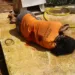 Vilas na área de fronteira entre o Acre e Rondônia somam mais de 50 homicídios