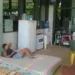 Fotos/ A GAZETA