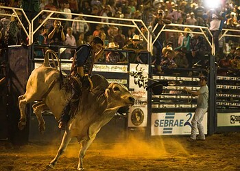 Final do Rodeio da Expoacre 2016 atrai grande público e Antônio Ivo é campeão