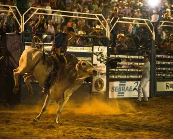 Final do Rodeio da Expoacre 2016 atrai grande público e Antônio Ivo é campeão