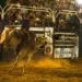 Final do Rodeio da Expoacre 2016 atrai grande público e Antônio Ivo é campeão