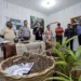 Governo anuncia plantio de 300 hectares de açaí no Alto e Baixo Acre