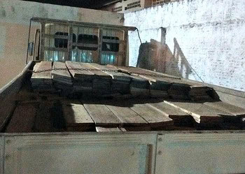 Homem é preso por transporte irregular de madeira na Transacreana