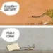 Charge