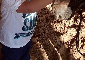 Primeiro Festival de Equoterapia do Rancho Porta do Céu será realizado 10 de setembro