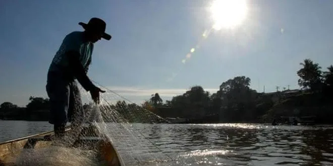 Ministério suspende mais de seis mil carteiras de pescador no Acre