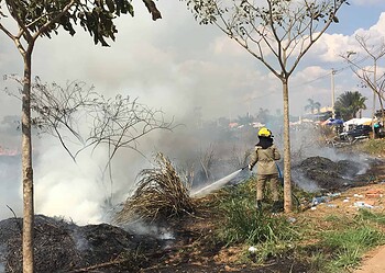 Acre ultrapassa os 11 mil focos de calor no ano; 10,2 mil foram entre julho e agosto 15 Acre ultrapassa os 11 mil focos de calor no ano; 10,2 mil foram entre julho e agosto
